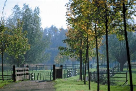 Deule park, metropolitní oblast Lille. Podpora ekologického zemědělství v nivě řeky Deule.