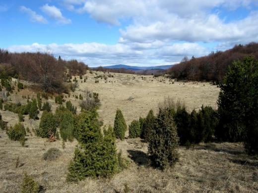 Centrální části Plešivecké planiny ve Slovenském krasu se říkalo „měsíční krajina“, protože je hustě pokryta sty závrtů. Dnes však kdysi holá, dobře přehledná krajina mizí pod lesem.