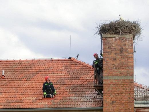 Jedovnice, hnízdo na komíně mateřské školy. Mláďata byla okroužkována  za účasti hasičů.