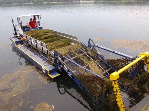 K nezbytné regulaci porostů ponořené vegetace slouží tzv. harvestory – speciální plavidla, která vegetaci žacími lištami kosí a biomasu dopravují na palubu. Sklizená biomasa se vykládá na břeh. Její optimální využití je kompostování a aplikace v zemědělství.