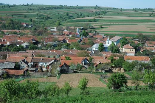 Svatá Helena, nejstarší česká obec v Banátu, založená již na počátku 20. let 19. století. V této obci jako v jediném českém sídle na Vojenské hranici bylo od počátku usazeno nekatolické obyvatelstvo kalvínského protestantského vyznání. Proto v obci také stojí dva kostely – evangelický a katolický, byť původní kalvínské obyvatelstvo se postupem doby, vlivem různých evangelických misií, rozdělilo do několika další evangelických denominací.