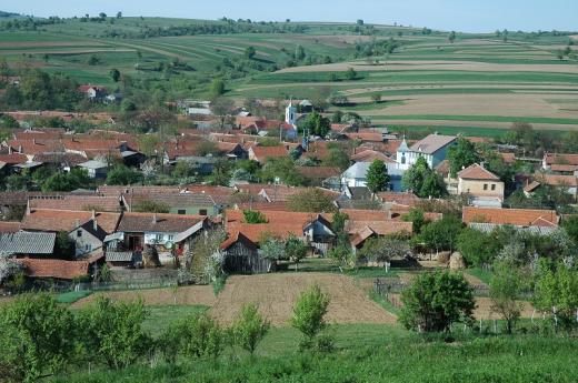 Svatá Helena, nejstarší česká obec v Banátu, založená již na počátku 20. let 19. století. V této obci jako v jediném českém sídle na Vojenské hranici bylo od počátku usazeno nekatolické obyvatelstvo kalvínského protestantského vyznání. Proto v obci také stojí dva kostely – evangelický a katolický, byť původní kalvínské obyvatelstvo se postupem doby, vlivem různých evangelických misií, rozdělilo do několika další evangelických denominací.