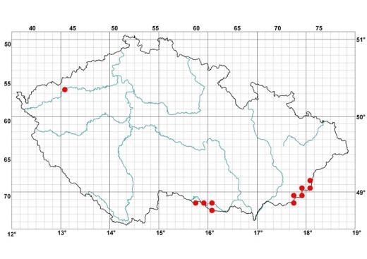 Jednou ze tří oblastí přirozeného výskytu užovky stromové v Česku jsou Bílé Karpaty, dalšími jsou Podyjí a Poohří.