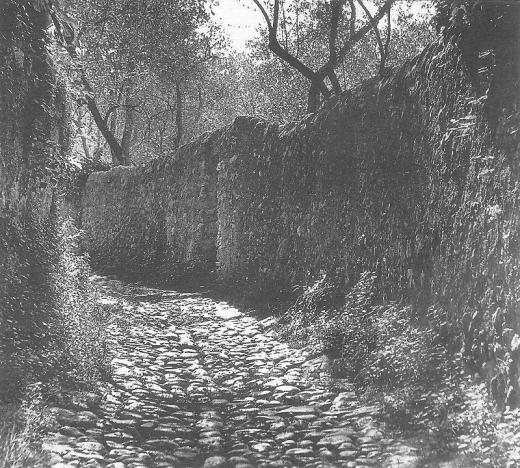 Staré cesty v olivových hájích nad Lago di Garda.