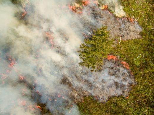 Pokus o opakování požárů pravidelně vznikajících dříve činností armády si vyžádal překonání velkých překážek, zejména administrativních, byť šlo v případě vřesoviště Jordán o cvičení za účasti hasičů a pouze o pokusné plochy.