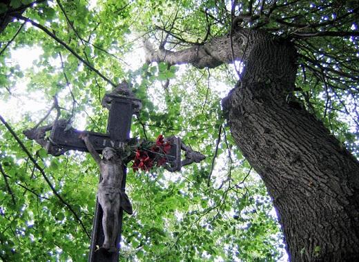 Ovesná Lhotka u Havlíčkova Brodu, železný kříž u čtyř lip. Foto archiv Nadace Partnerství