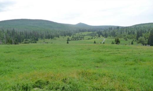 Pohled na Luzný / Lusen (1 373 m n. m.), vlevo Velká Mokrůvka / Moorkopf (1 370 m n. m.) a vpravo úbočí Špičníku / Spitzberg 1 350 m n. m.). 