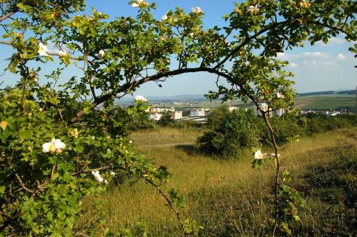 Brno, Kamenný vrch. 