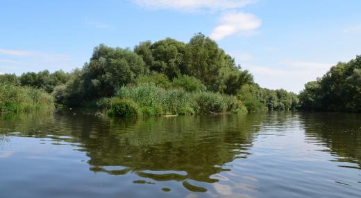 Zachování a posilování tohoto ekosystému je velmi důležité. Foto Petr Starý, srpen 2013