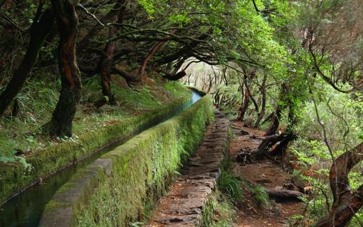 Levada bei Rabaçal, 2017. 