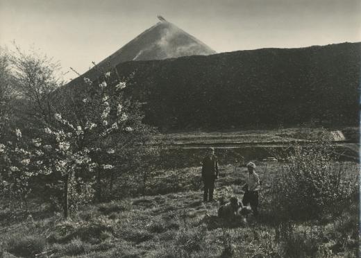 Halda dolu Trojice, 1961. 