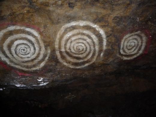 Ptáček kroužící kolem stříbrnických geoglyfů.  