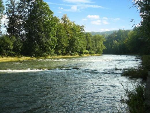 Vsetínská Bečva pod lesem nad obcí Poličná, 2009. 