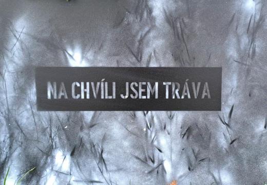 Anna Beata Háblová, Na chvíli jsem tráva