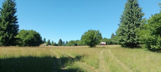 Dva zachovalé seníky na Dubovských lúkách jsou dobrým příkladem toho, jak tyto stavby dokázaly harmonicky dotvářet strukturu krajiny. Lískové keře na loukách jsou již druhotným náletem, původně zde stály pouze osamělé smrky.